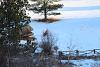 A Little Elk Hunting in Colorado with my Digital SLR-aimg_0698x.jpg