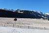 Hunting Big Horn Sheep w/Digital Camera at Rocky Mountain National Park-img_0571.jpg