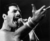 Word association-freddie%2520mercury.jpg