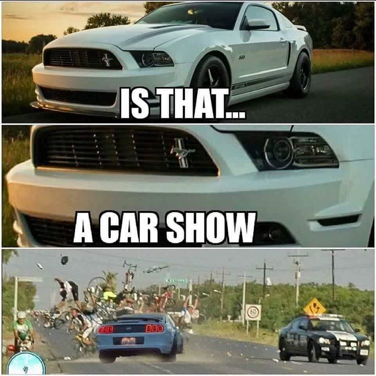 Mustang memes and funny cheap shots - Monte Carlo Forum - Monte Carlo ...