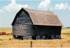 Bi-Monthly Themed Photo Contest &quot;Barns&quot;  Voting-scan1131.jpg