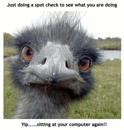 Name: 0WhatRU.gif
Views: 19
Size: 168.1 KB