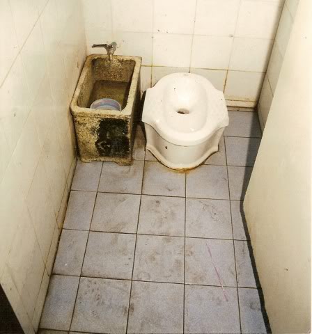 Name:  toilet6.jpg
Views: 44
Size:  32.5 KB