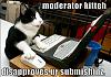 Cat Lover's (Way `Off Topic: )-moderator-kitteh.jpg