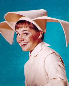 Name:  The_Flying_Nun-1.jpg
Views: 6
Size:  13.6 KB