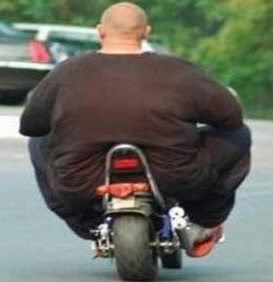 Name:  fat-man-on-motorcycle.jpg
Views: 10
Size:  11.0 KB