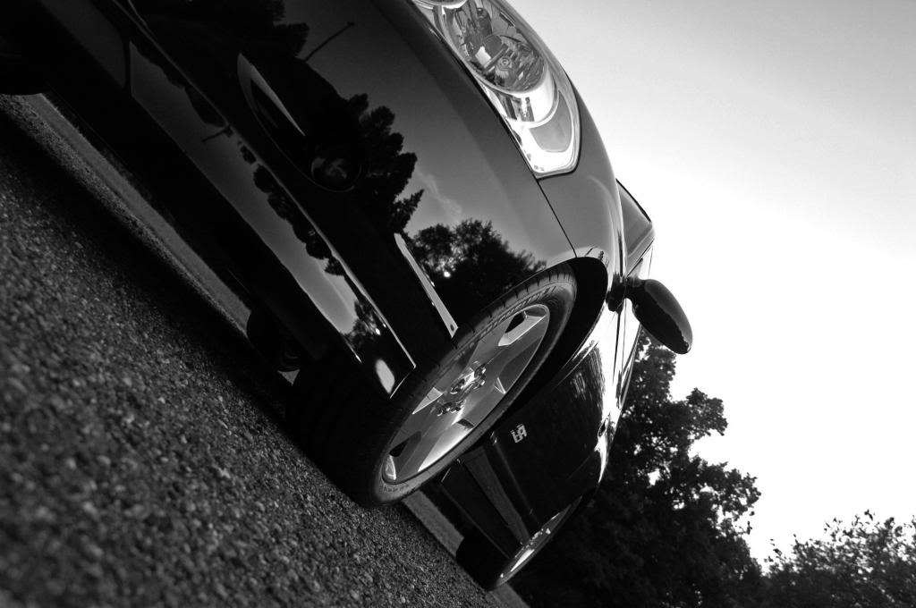 Name:  DSC_65602_zps41be66d3.jpg
Views: 38
Size:  72.5 KB