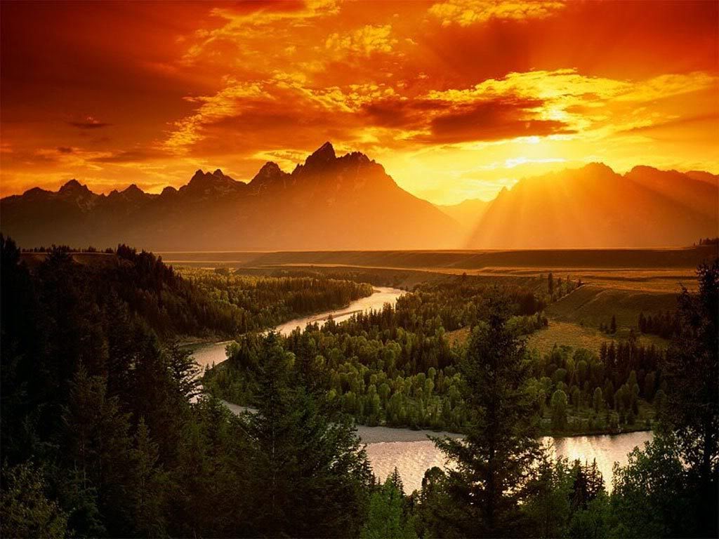 Name:  beautiful.jpg
Views: 30
Size:  126.0 KB