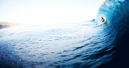 Name:  url-7.gif
Views: 37
Size:  492.4 KB