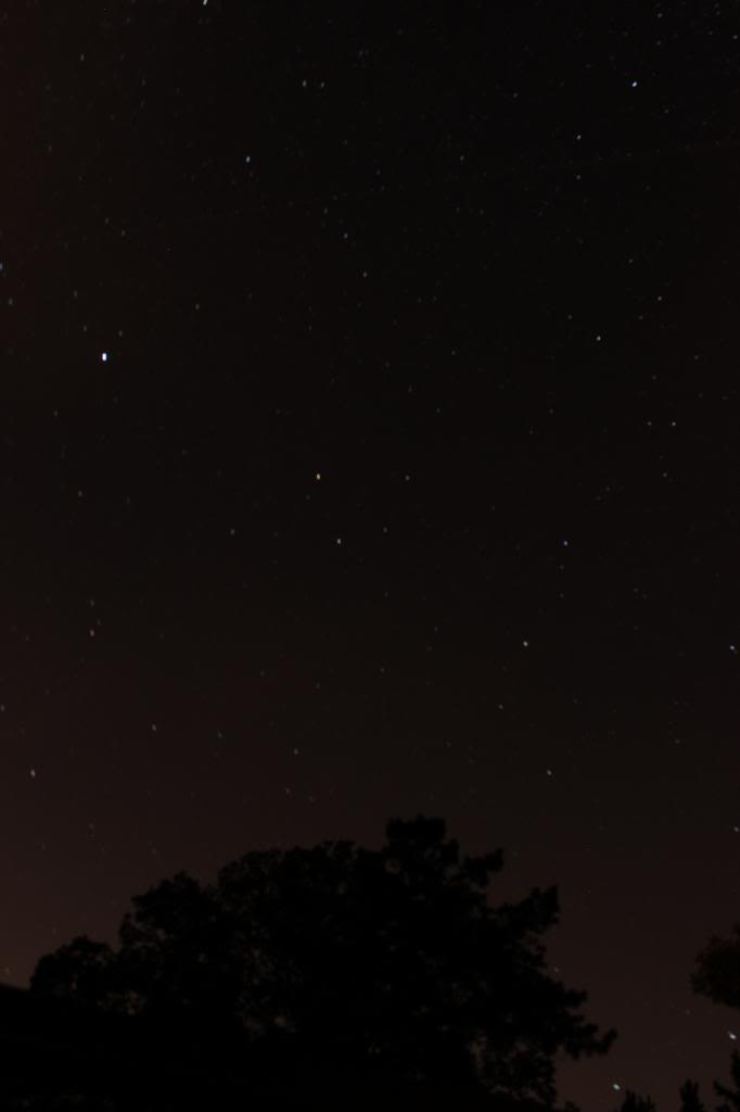 Name:  IMG_3962_zpsd2582730.jpg
Views: 10
Size:  11.8 KB