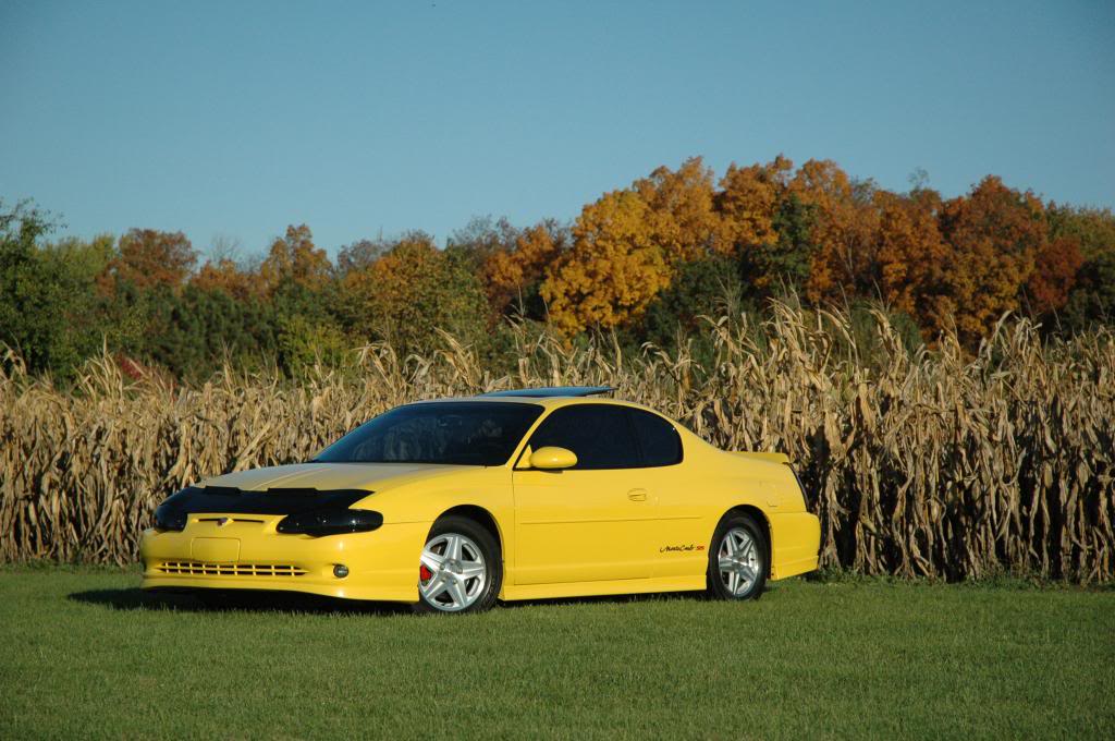 Name:  DSC_9023_zps81d5d156.jpg
Views: 38
Size:  112.4 KB