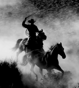Name:  cowboy.jpg
Views: 25
Size:  22.2 KB