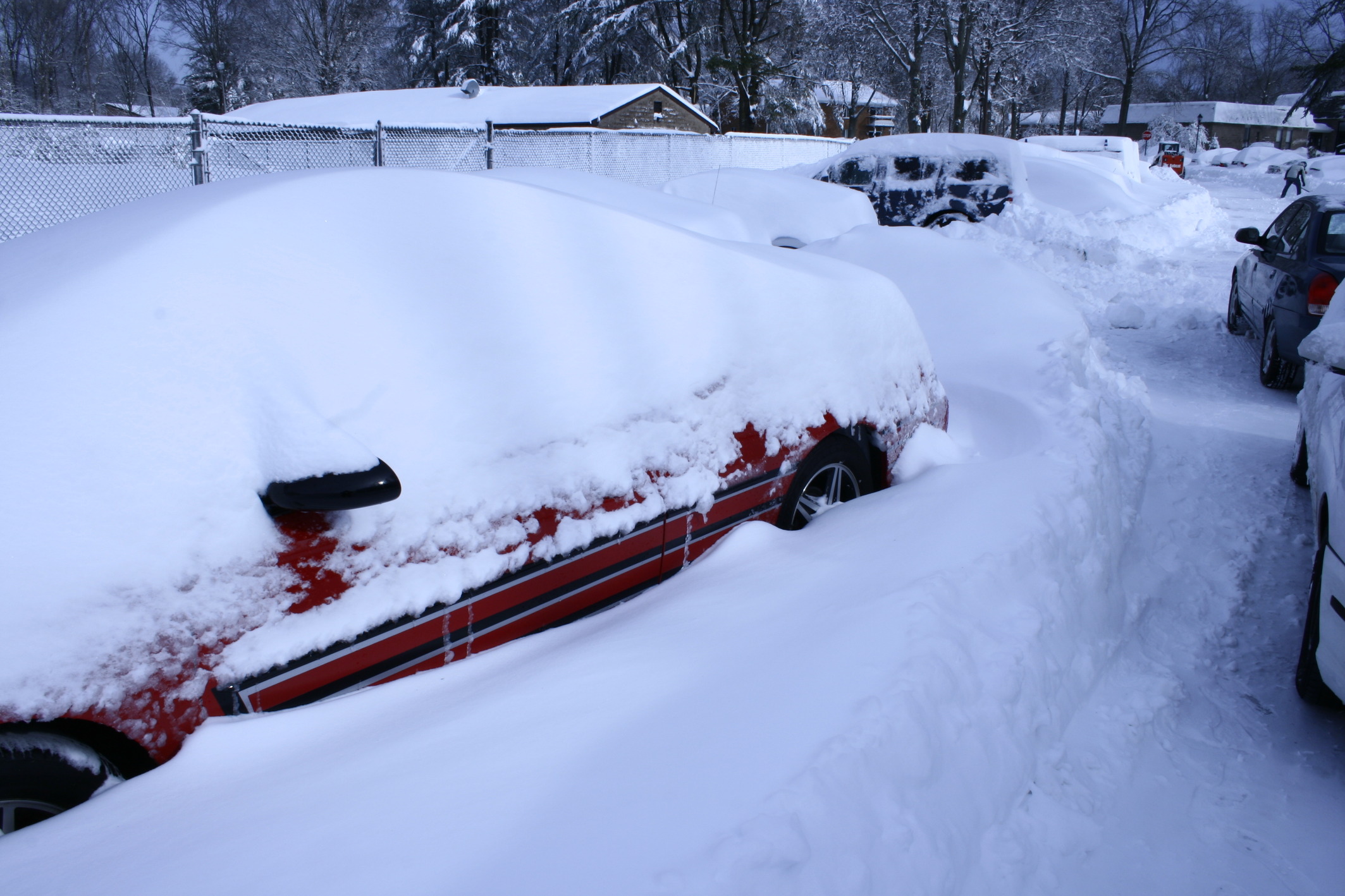 Name:  _MG_9179_zpsb19678cd.jpg
Views: 56
Size:  573.7 KB