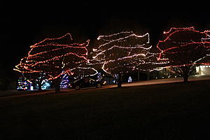 "It's the Most wonderful time of the Year"  "Anything Christmas Photo Contest"-img_4656.jpg