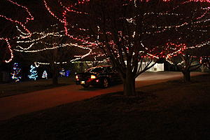 "It's the Most wonderful time of the Year"  "Anything Christmas Photo Contest"-img_4642.jpg