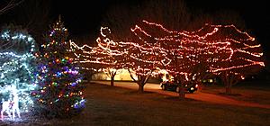 "It's the Most wonderful time of the Year"  "Anything Christmas Photo Contest"-img_4653z.jpg