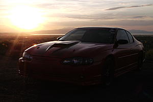February Photo contest &quot; Sunshine&quot; theme! Your Monte Carlo in the sunshine-006.jpg
