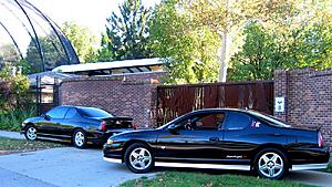 Voting September 2018 ( Fences and Gates)-20100924_monte_with_spinem90_29_db5d8ed4832730a03983657cfa113a645a71b238.jpg