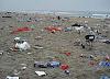 MCF Members Blog: Sunday September 05, 2010-beachthrash.jpg