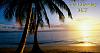 MEMBER'S BLOG &amp; Check In: Friday 3/25/11-beach.jpg