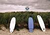 MEMBER'S BLOG &amp; Check In: Monday 3/28/11-beachin-days.jpg