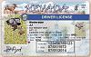 What ever happened to ?-jj-nevada-drivers-licence-4.jpg