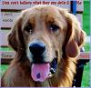 > Post a Picture of your Pet(s) <-samson.jpg
