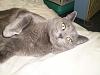 > Post a Picture of your Pet(s) <-pa180421.jpg