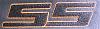 Custom Trunk Lid Panels / Vinyl graphics / etc.-p1070753.jpg