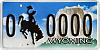 front plate delete-wy_license_plate.jpg