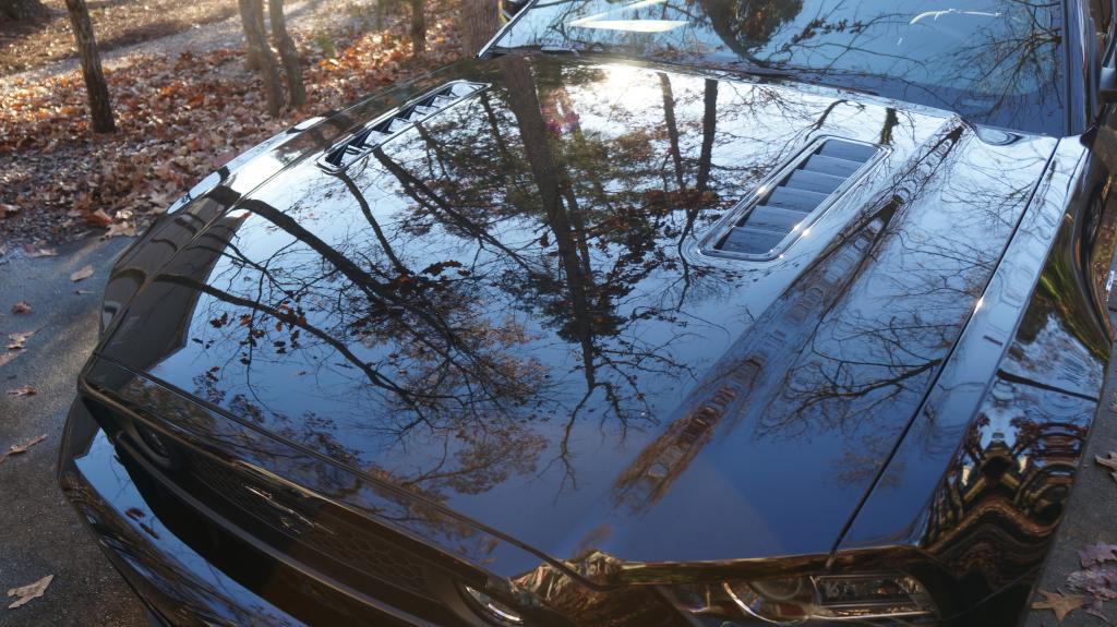 Name:  113_zpsed2a961e.jpg
Views: 105
Size:  120.4 KB