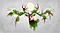 scootersyear's Avatar